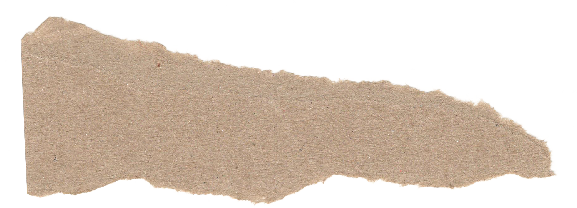 Ripped Paper